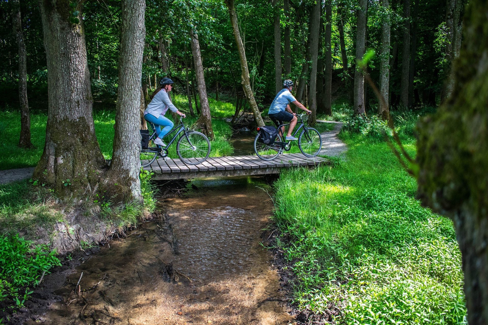 Radfahren im Haderslev Wildpark, Südjütland, Dänemark