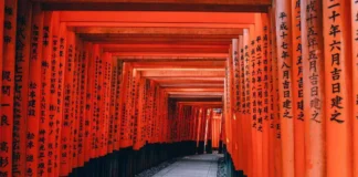 Sehenswürdigkeiten in Kyoto Torri Tore - Ein Highlight von Kyoto, Japan.