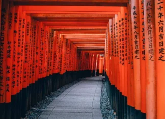 Sehenswürdigkeiten in Kyoto Torri Tore - Ein Highlight von Kyoto, Japan.