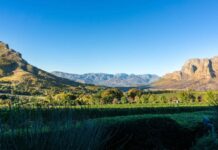 Die besten Unternehmungen in Stellenbosch: Weinverkostung, Restaurants, Familienaktivitäten und Unterkünfte Stellenbosch in der Nähe von Kapstadt, Südafrika.