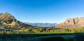 Die besten Unternehmungen in Stellenbosch: Weinverkostung, Restaurants, Familienaktivitäten und Unterkünfte Stellenbosch in der Nähe von Kapstadt, Südafrika.