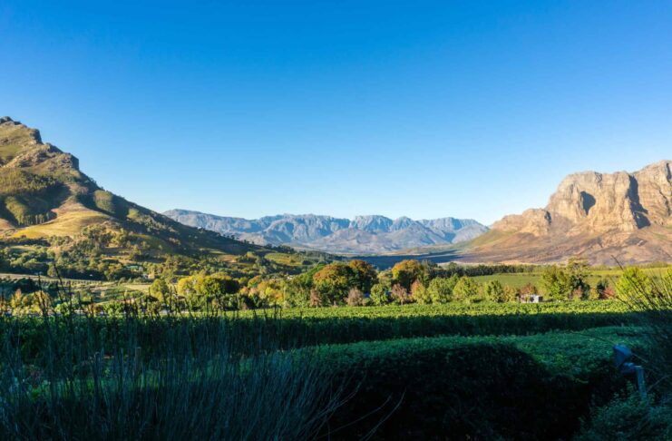 Die besten Unternehmungen in Stellenbosch: Weinverkostung, Restaurants, Familienaktivitäten und Unterkünfte Stellenbosch in der Nähe von Kapstadt, Südafrika.