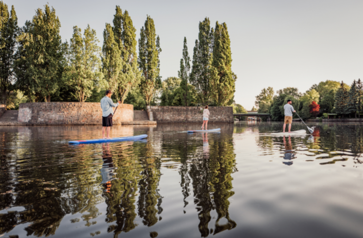 Hamburg: Wind, Wasser und weite Grünflächen Stand Up Paddling in Hamburg