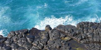 Du kannst dir eine Galapagos-Kreuzfahrt nicht leisten? Dann reise stattdessen hierhin! Das Cuyabeno Wildlife Reservat, eine super alternative zur Galapagos Kreuzfahrt.