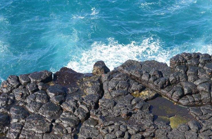 Du kannst dir eine Galapagos-Kreuzfahrt nicht leisten? Dann reise stattdessen hierhin! Das Cuyabeno Wildlife Reservat, eine super alternative zur Galapagos Kreuzfahrt.
