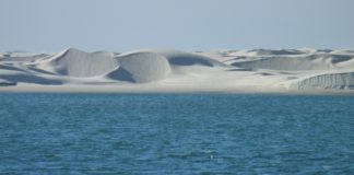 Wie du einen fantastischen Urlaub in Baja California planst Riesige Sanddünen an der Baja Kalifornien in Mexiko.
