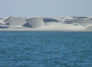 Wie du einen fantastischen Urlaub in Baja California planst Riesige Sanddünen an der Baja Kalifornien in Mexiko.
