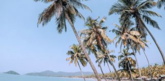 Gründe für einen Besuch in Goa in der Monsunzeit Strand in Goa in der Monsunzeit