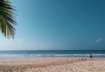 Palmen am Strand - Unterschätzte Strandziele