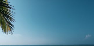 Unterschätzte Strandziele Palmen am Strand - Unterschätzte Strandziele