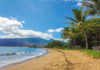 6 Tage Abenteuerreise für Maui, Hawaii Strand mit Palmen in Maui, USA.