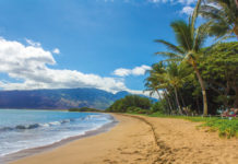 6 Tage Abenteuerreise für Maui, Hawaii Strand mit Palmen in Maui, USA.