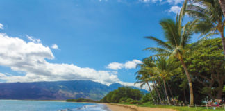 6 Tage Abenteuerreise für Maui, Hawaii Strand mit Palmen in Maui, USA.