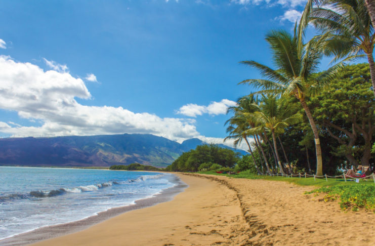 6 Tage Abenteuerreise für Maui, Hawaii Strand mit Palmen in Maui, USA.