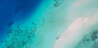 Calauit Safari Tour auf den Philippinen: Was dich erwartet Calauit-Tour in Palawan, Philippinen.