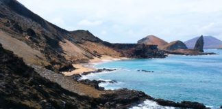Der ultimative Reiseführer für die Galapagos-Inseln