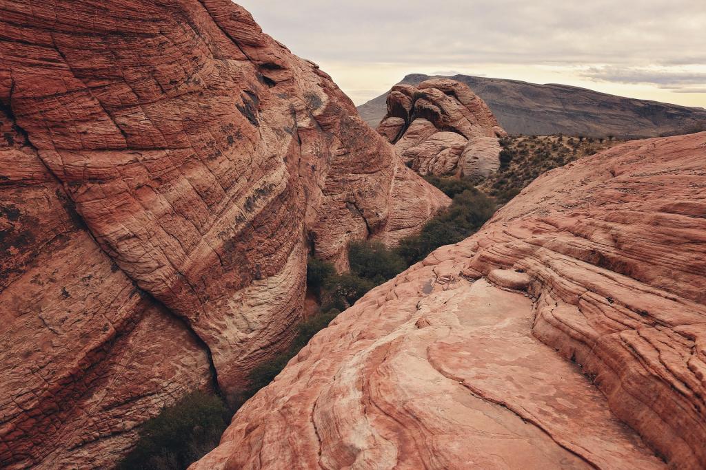 Red Rock Canyon, Arizona, USA.