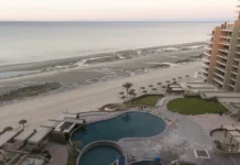 Exotisches Essen in Rocky Point: Auf die Straße gebracht Puerto Penasco (auch bekannt als Rocky Point) in Mexiko.