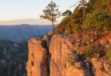 Die Fahrt mit dem Copper Canyon Zug in Mexiko Copper Canyon in Mexico