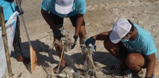 Was du vor einem Freiwilligendienst im Ausland wissen solltest Was du vor einem Freiwilligendienst im Ausland wissen solltest