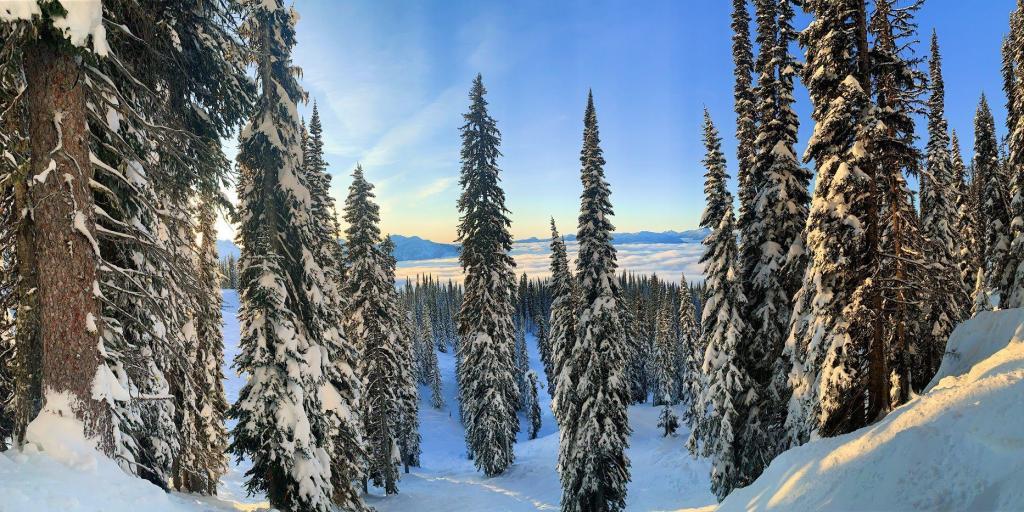 Was dich bei einem Arbeitsurlaub in Kanada erwartet