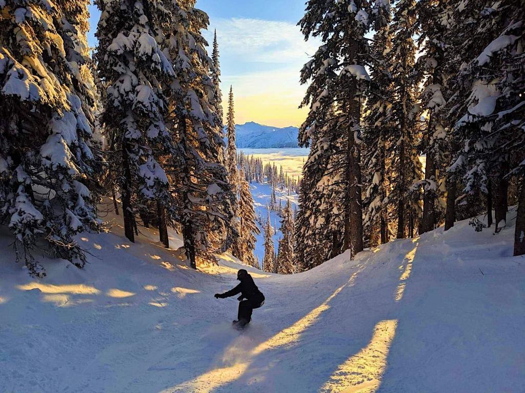 Was dich bei einem Arbeitsurlaub in Kanada erwartet