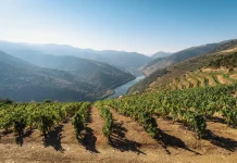 Besuch im Douro-Weintal in Nordportugal Douro Weintal in Portugal.