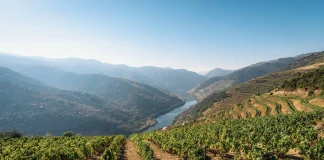 Besuch im Douro-Weintal in Nordportugal Douro Weintal in Portugal.