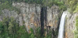 Reiseziele an der Gold Coast in Australien Purling Brook Falls in der Nähe der Gold Coast in Australien.