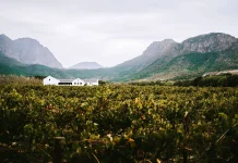 Gründe, warum du die Weinregion Franschhoek in dein Kapstadt-Reiseprogramm aufnehmen solltest Weinregion Franschhoek in Südafrika