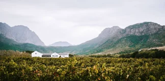 Gründe, warum du die Weinregion Franschhoek in dein Kapstadt-Reiseprogramm aufnehmen solltest Weinregion Franschhoek in Südafrika