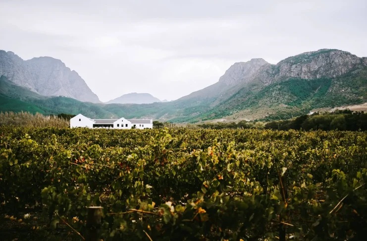 Gründe, warum du die Weinregion Franschhoek in dein Kapstadt-Reiseprogramm aufnehmen solltest Weinregion Franschhoek in Südafrika
