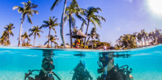 Tauchspots auf den Philippinen Philippinen Tauchen