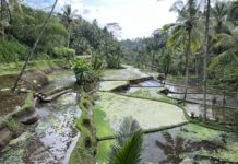 Bali im Herzen – Insider Reisetipps