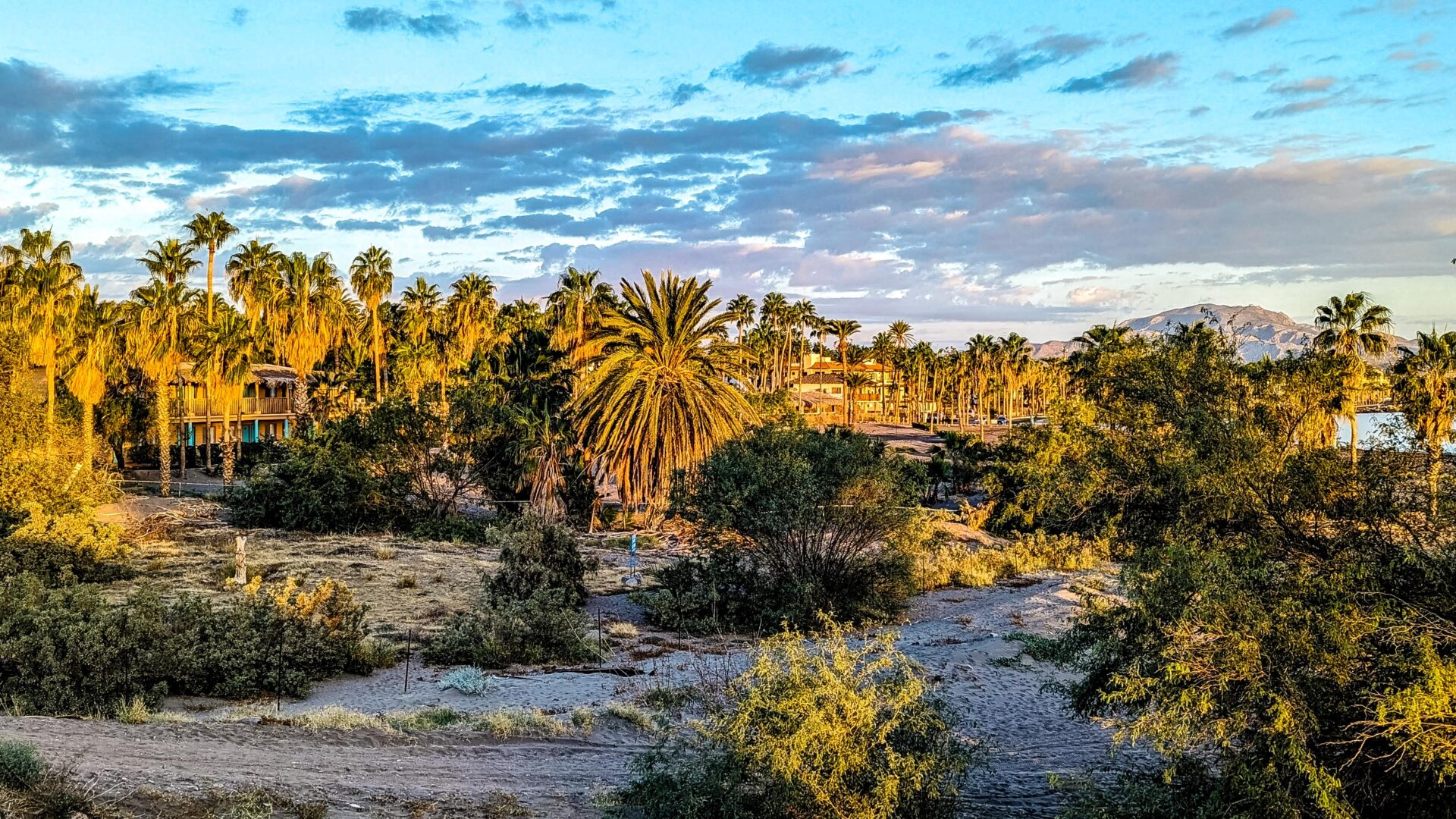 Am Strand und hinter den Palmen - Hotel Oasis in Loreto, Baja California Sur, Mexiko.