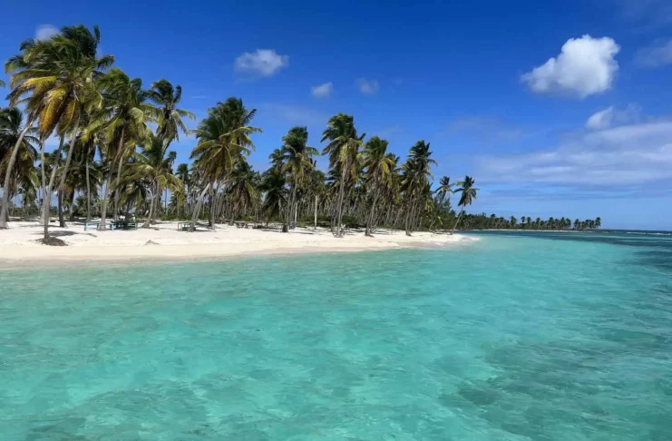 Die Insel Saona: Ein enthülltes Paradies – Entdeckung verborgener Juwelen Canto de la Playa auf der Insel Saona in der Dominikanischen Republik.