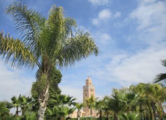 Marrakesch: Ein Zentrum für internationale Veranstaltungen und spektakuläre Zusammenkünfte Palme und Moschee in Marrakech, Marokko.
