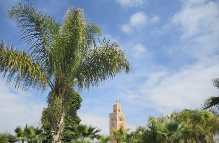 Marrakesch: Ein Zentrum für internationale Veranstaltungen und spektakuläre Zusammenkünfte Palme und Moschee in Marrakech, Marokko.