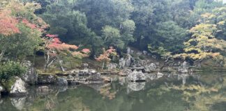 Tokio & Kyoto: Meine besten Reisetipps von meiner Reise