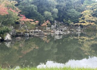 Tokio & Kyoto: Meine besten Reisetipps von meiner Reise