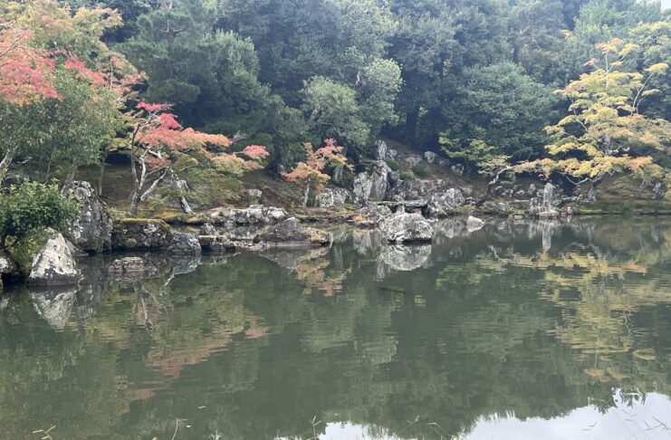 Tokio & Kyoto: Meine besten Reisetipps von meiner Reise