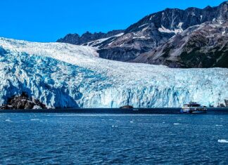Die Magie einer Tageskreuzfahrt im Kenai-Fjords-Nationalpark, Alaska Tageskreuzfahrt zum Aialik-Gletscher im Kenai-Fjords-Nationalpark in Alaska, USA.