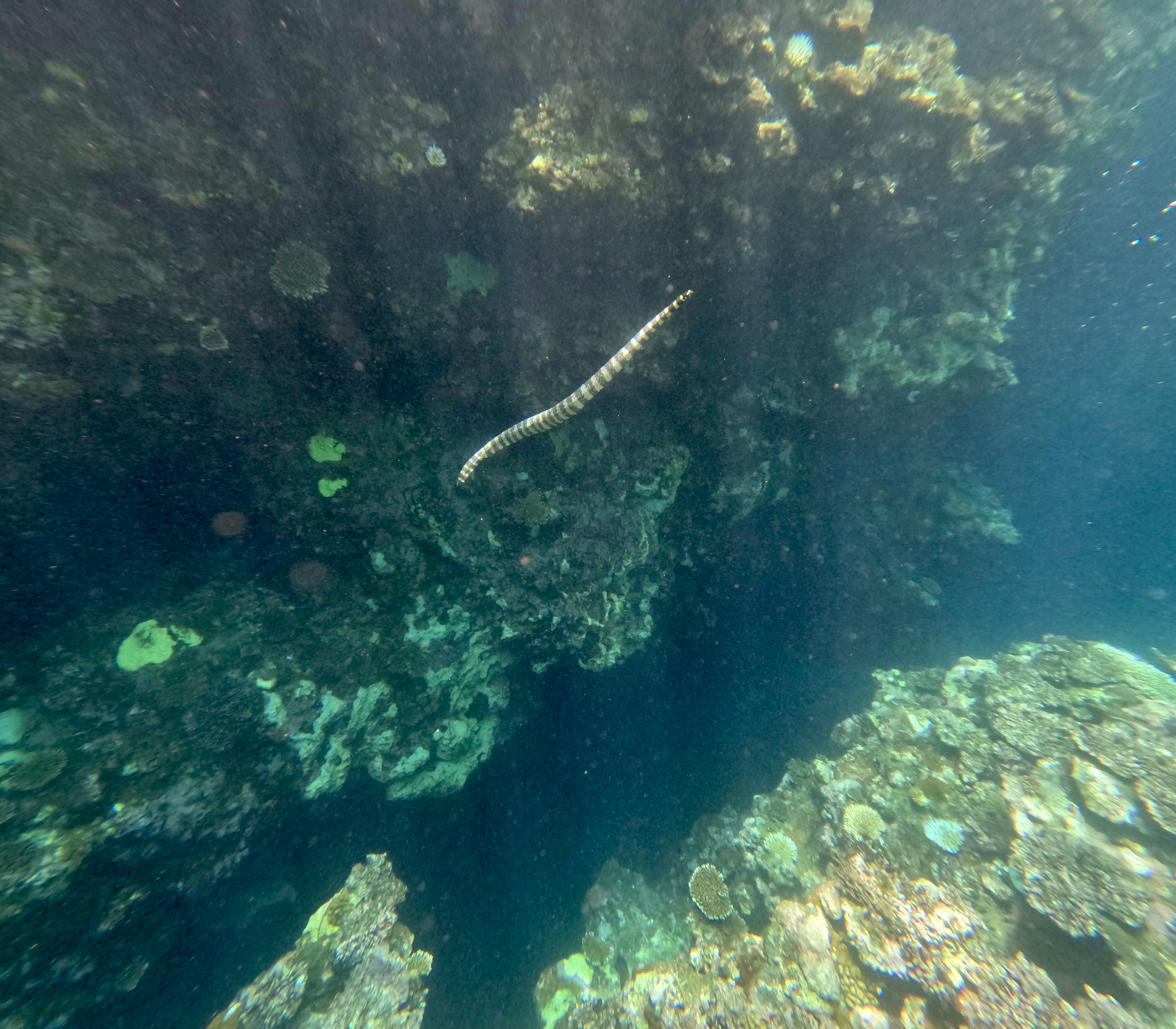 Ona va ogil jinsiy aloqa onlayn