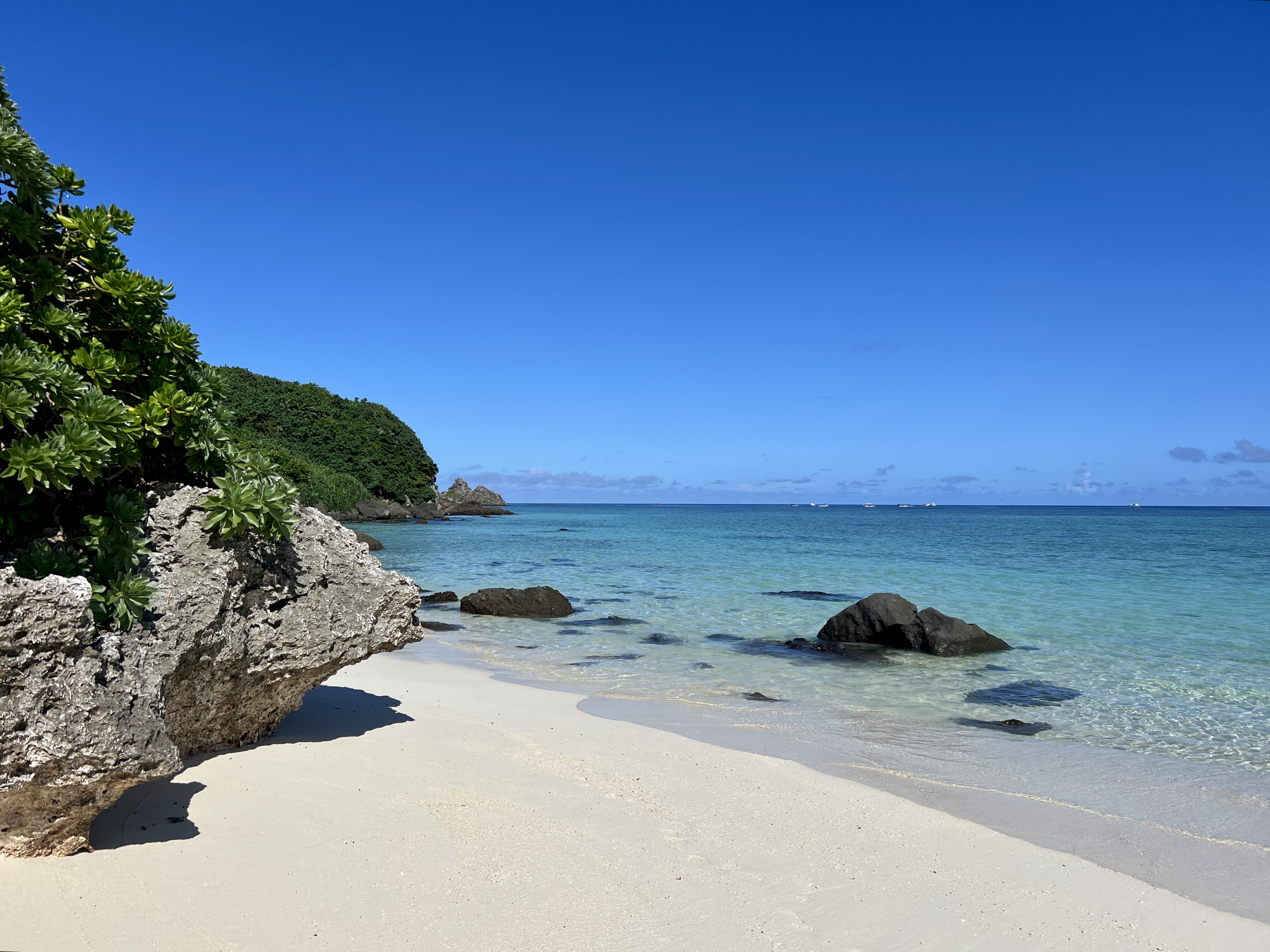 Qiziqarli pornografiya