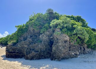 Ishigaki – südlichste Insel Okinawas Bewachsene Korallenfelsen am Strand in Ishigaki, Japan.