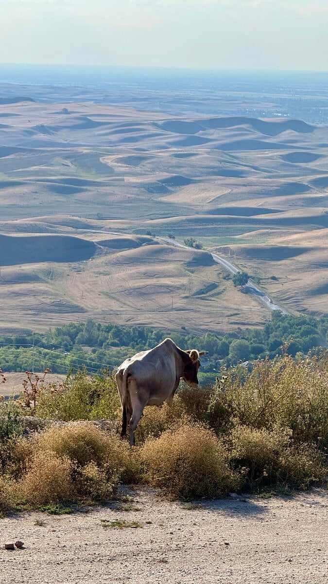 Kasachische Landschaft