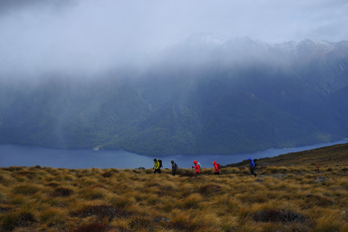 Hoch oben auf dem Kepler Track und überall dazwischen sorgt dein lokaler Guide für Sicherheit.