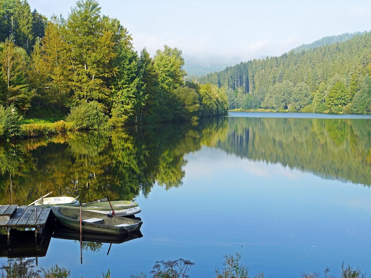 Nagoldtalsperre im Nordschwarzwald, Deutschland.