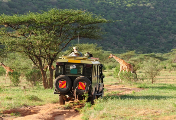 Leitfaden zur Gesundheitsvorbereitung für eine Ostafrika-Safari