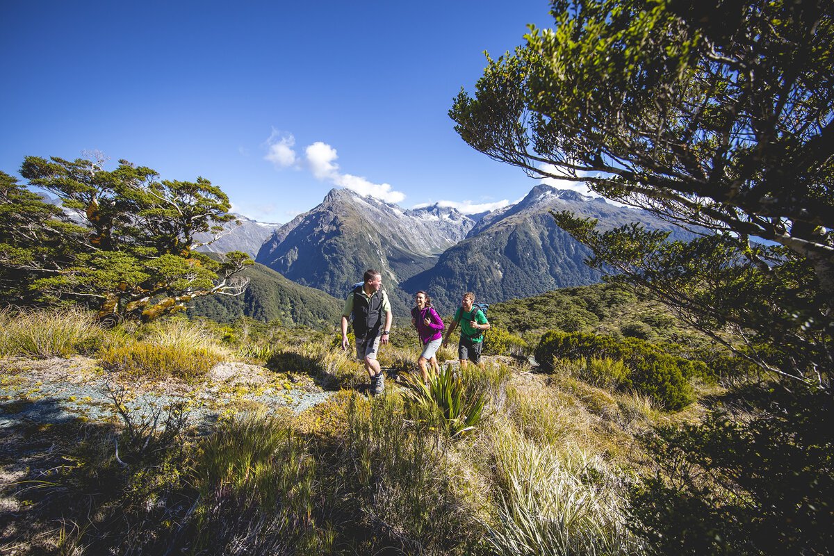 Der Routeburn Track führt dich entlang der zentralen Bergkette.